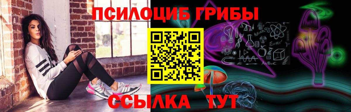 Псилоцибиновые грибы Psilocybe Егорьевск