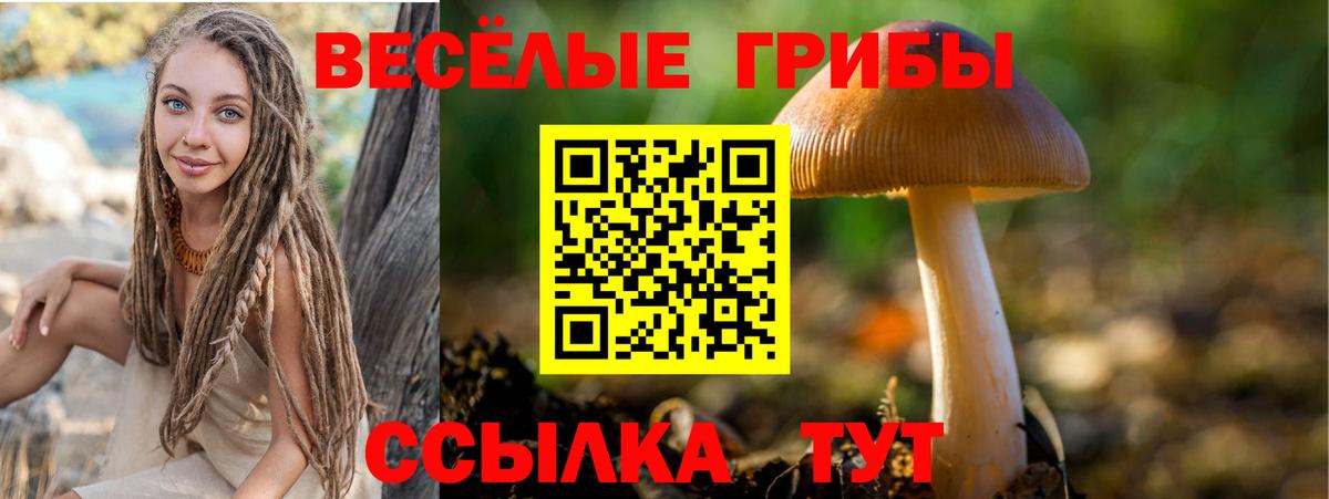 Псилоцибиновые грибы Psilocybe  Галлюциногенные грибы ЛСД  Вход с VPN  Егорьевск 